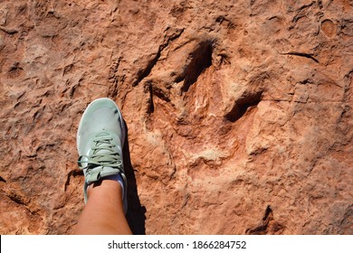 Real Dinosaur Footprint Compared Human Foot Stock Photo 1866284752