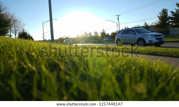                               \
Real Estate Green Grass Neighborhood Lifestyle Morning Stock\
\
