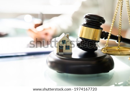 Real Estate Property Auction Or Foreclosure Litigation