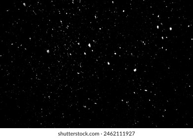 Real falling snow on a black background. - Powered by Shutterstock