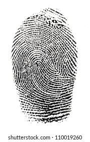 Real Fingerprint White Background Super Macro Stock Photo 110019260 