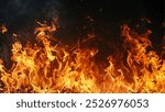 Real Fire Flames Background texture Overlay