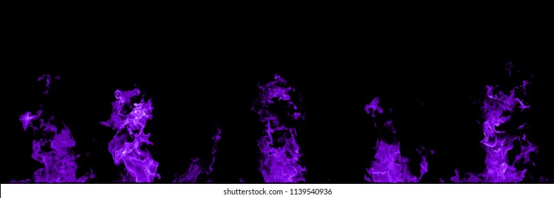 Real fire purple flames isolated on black background. Mockup of 5 flames.