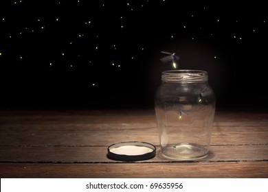 Real Fireflies In A Jar