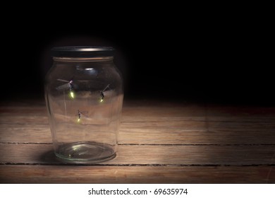 Real Fireflies In A Jar