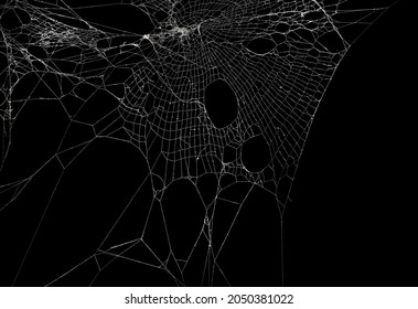 Real frost covered spider web isolated on black. For spooky Halloween decoration.