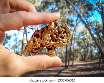 Real Gold Nugget In The Hand. Australia