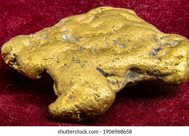 A Real Gold Nugget On Burgundy Felt, Velvet Material Background. Authentic Gold Jewellery From Natural Resources. 