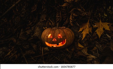 Real Hallowen Pumkin In The Forest