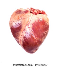 Real Heart, Isolated White Background