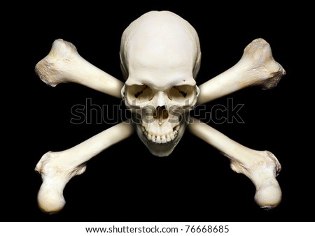 Real human skull with Ñ�rossed bones