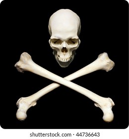 Real Human Skull With Crossed Bones