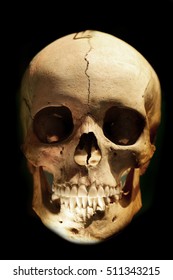 Real Human Skull In The Dark Night 