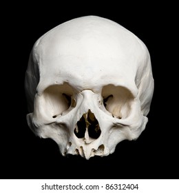 real human Skull. Upper half. with black background