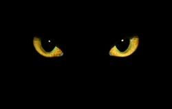 Real Isolated Cat Eyes On Black Background