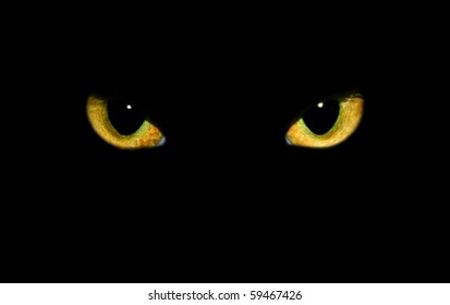 real isolated cat eyes on black background