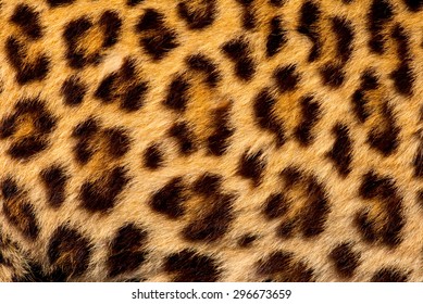 Real Jaguar Skin