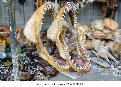 Real Jaws And Teeth Of A Shark Asian Souvenir Street Shop. High Quality Photo