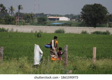 Real Life Lesson, Woman Taking Her Child To Farm