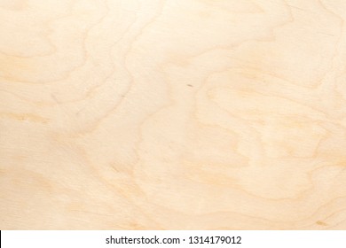 Real Natural Light Birch Plywood. High-detailed Wood Texture. Close-up Abstract Background