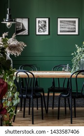Real photo of black chairs standing at a wooden table in elegant dining room interior with framed photos on green wall