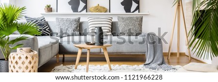 Similar – Image, Stock Photo Living spaces or living dreams