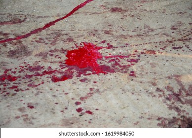 Real Photo Of  Blood Splatter On Ground After Animal Sacrifice In A Religious Ritual 