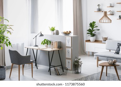 Real Photo Of A Bright Home Office Interior With A Desk, Armchair And Plants