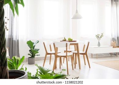 Real Photo Of A Bright, Scandi Dining Room With A White Lamp Above A Round Table With Wooden Chairs, Next To The Window