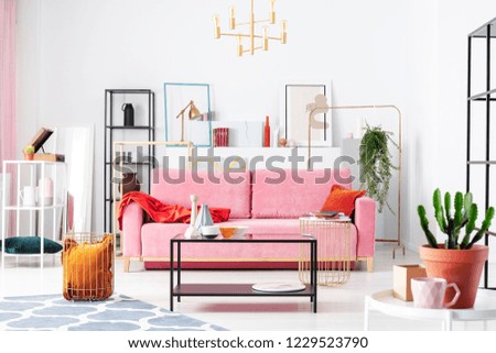 Similar – Image, Stock Photo Colourful Decoration