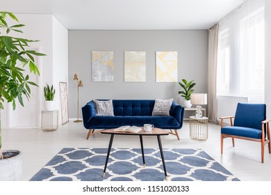 Real Photo Of An Elegant Living Room Interior With A Blue Sofa, Armchair, Coffee Table, Patterned Carpet And Paintings On The Gray Wall