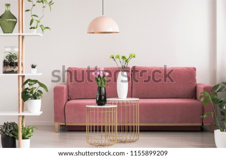 Similar – Image, Stock Photo Pink flower Elegant Style