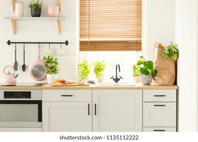 Real Photo Of A Kitchen Cupboards, Countertop With Plants, Food, And Shopping Bag, And Window With Blinds In A Kitchen Interior