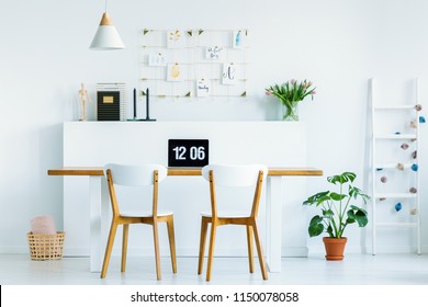 Real Photo Of Laptop With Time Screensaver Placed On Wooden Desk With Two Chairs In Workspace Living Room Interior With Pink Tulips And Plant On The Floor