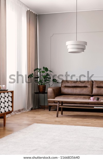 Real Photo Leather Lounge Standing Bright Stock Photo Edit Now