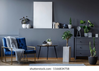 Real Photo Of A Monochromatic Living Room Interior With A Blue Armchair With A Blanket Standing Next To A Table And A Shelf With An Empty Poster, With Plants And Ornaments Around