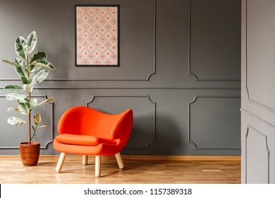 Real Photo Of Open Space Dark Grey Living Room Interior With Poster Hanging On Wall With Wainscoting, Orange Armchair And Fresh Potted Plant. Paste Your Lamp Here