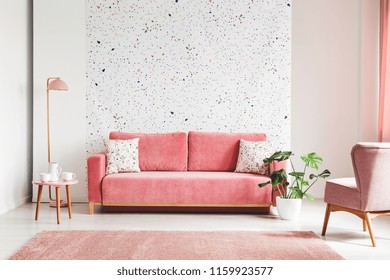 Real photo of a pink, velvet sofa, plant, coffee table with pot and cups on a lastrico wall a living room interior