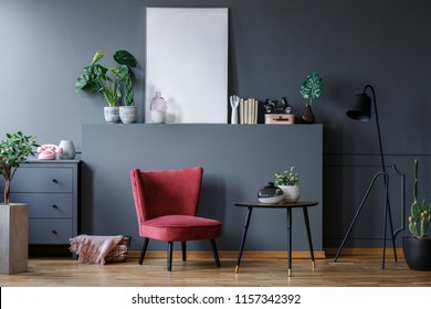 Real Photo Of A Red Armchair In A Dark Living Room Interior With A Small Table, Black Lamp And A Chest With The Plants And Ornaments Around Them. Poster Mockup With A Place For Your Graphic