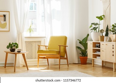 Real photo of a retro armchair, coffee table and cabinet in a living room interior decorated with plants