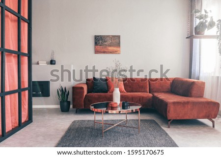 Similar – Image, Stock Photo a rose Living or residing