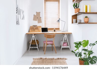 Real Photo Of A Simple Home Office Interior In A Bright Room With A Desk, Window Blinds And Plant