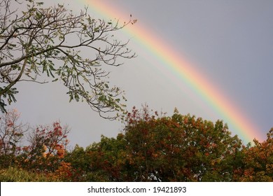 Real Rainbow