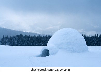 Real snow igloo house in the winter Carpathian mountains. Snow-covered firs on the background