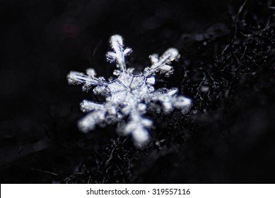 Real Snowflake Macro