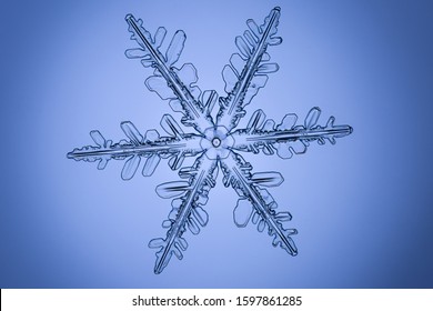 Real Snowflake Microscope Shot Stock Photo 1597861285 | Shutterstock
