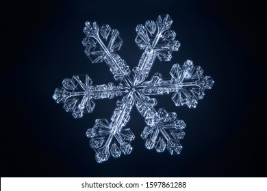 Real Snowflake Microscope Shot Stock Photo 1597861288 | Shutterstock