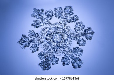 Real Snowflake Microscope Shot Stock Photo 1597861369 | Shutterstock