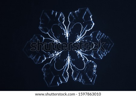
real snowflake . microscope shot
