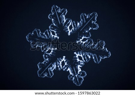 
real snowflake . microscope shot